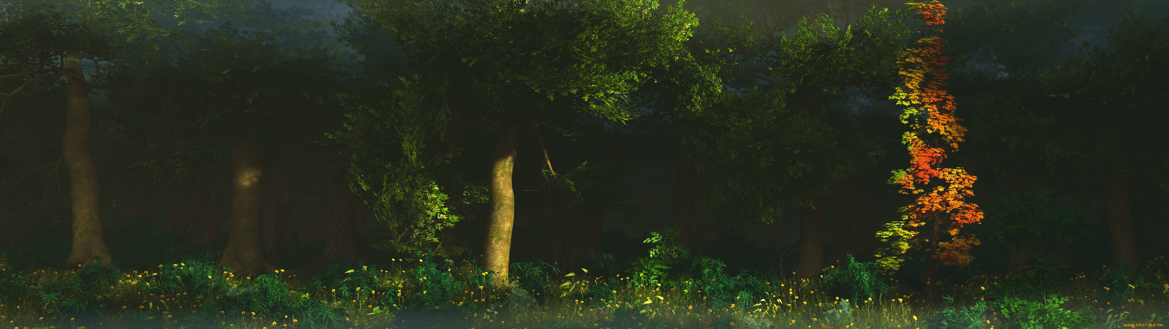 3, , nature, landscape, , 